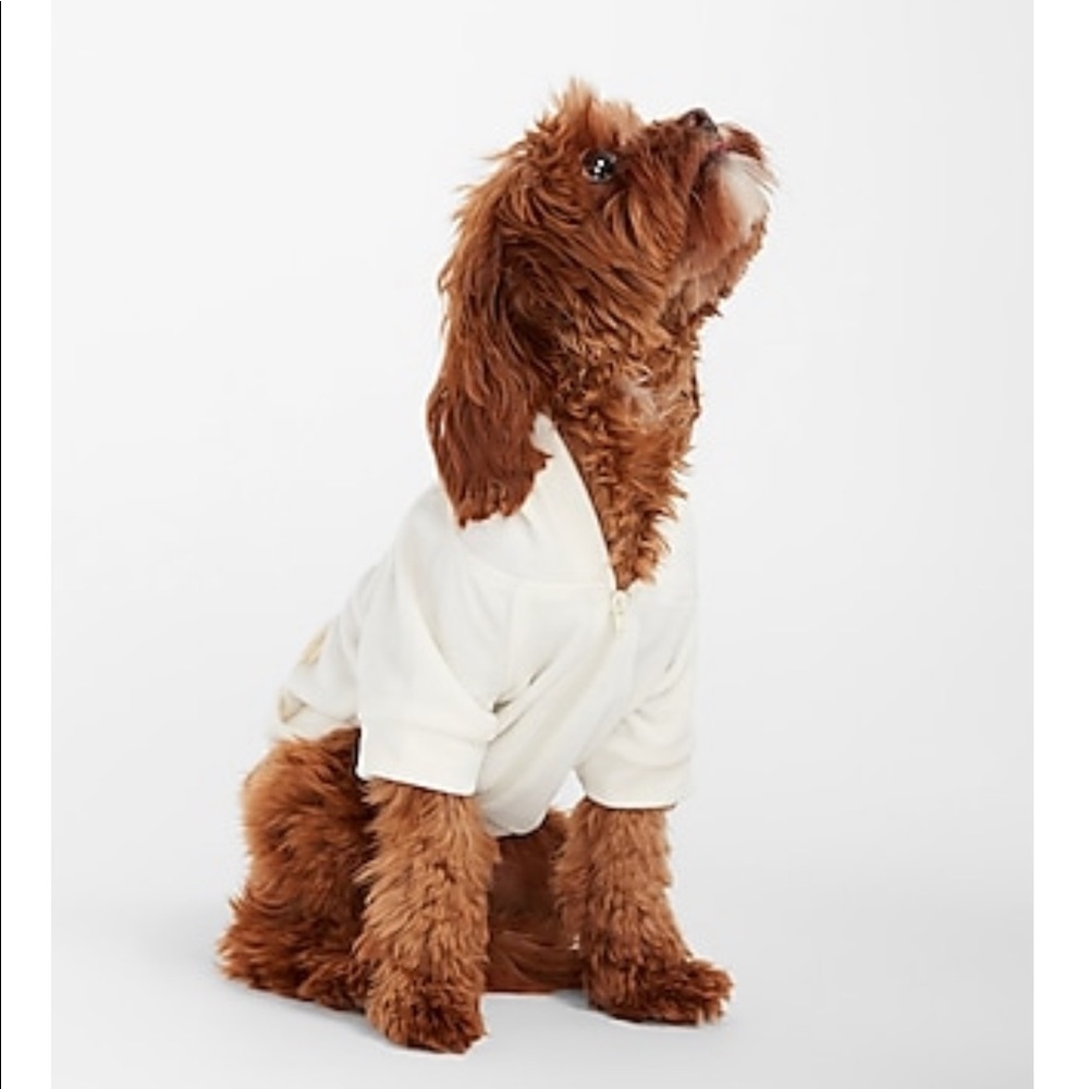 BNWT Express Cozy Pom Dog Hoodie